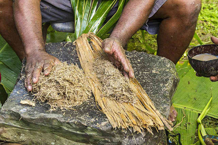 What is Kava Kava