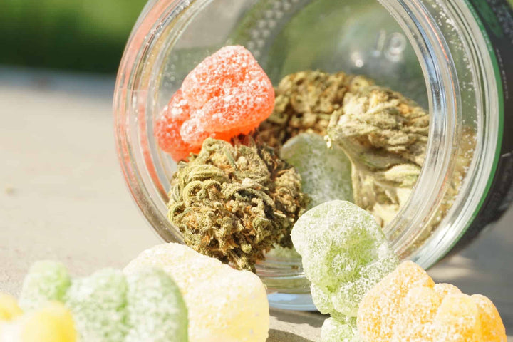5 Best Edibles for Sleep: Find Good Rest Here