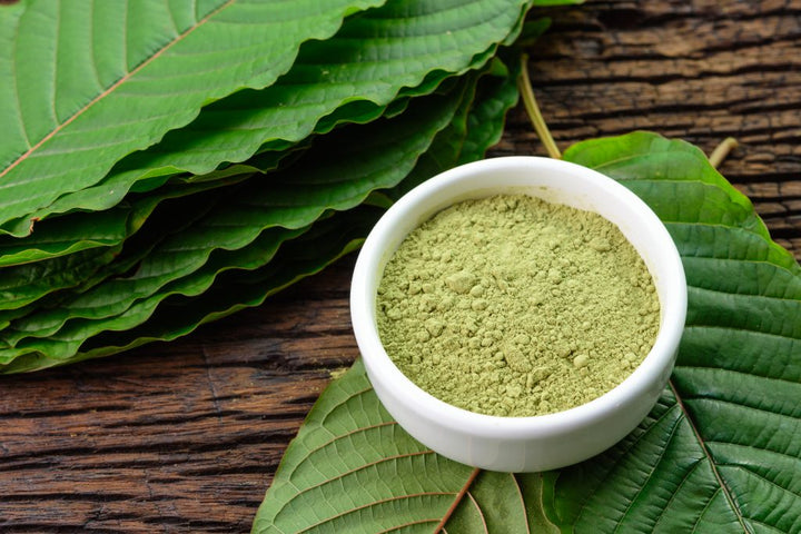 Kratom Extract vs Powder: What's the Difference