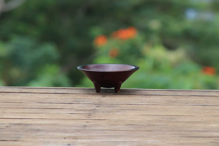 5 Best Kava Bowls: Fijian, Samoan, & Modern